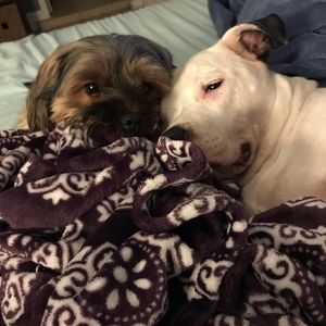 Meet your Posher, Victoria